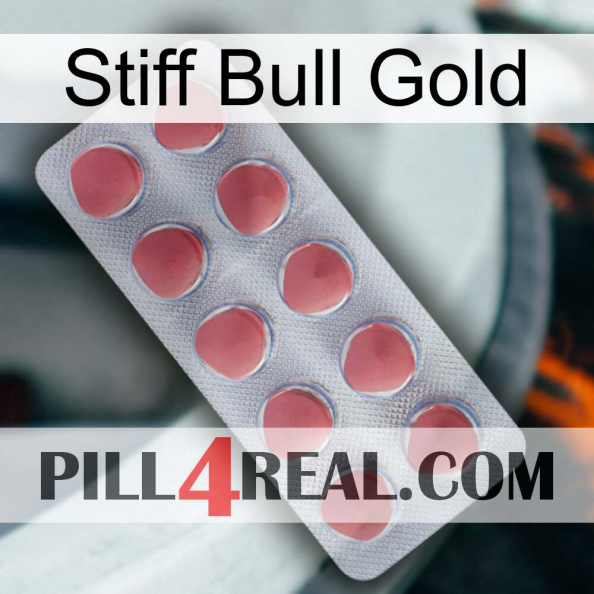 Stiff Bull Gold 18.jpg